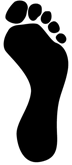 medium arch foot